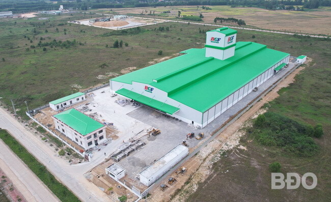 Nhà máy sản xuất thức ăn chăn nuôi BGF-BIGRFEED Bình Định được Tập đoàn BGF đầu tư có công suất khoảng 350 nghìn tấn/năm sẽ chính thức đi vào hoạt động ngày 7.4.2024.